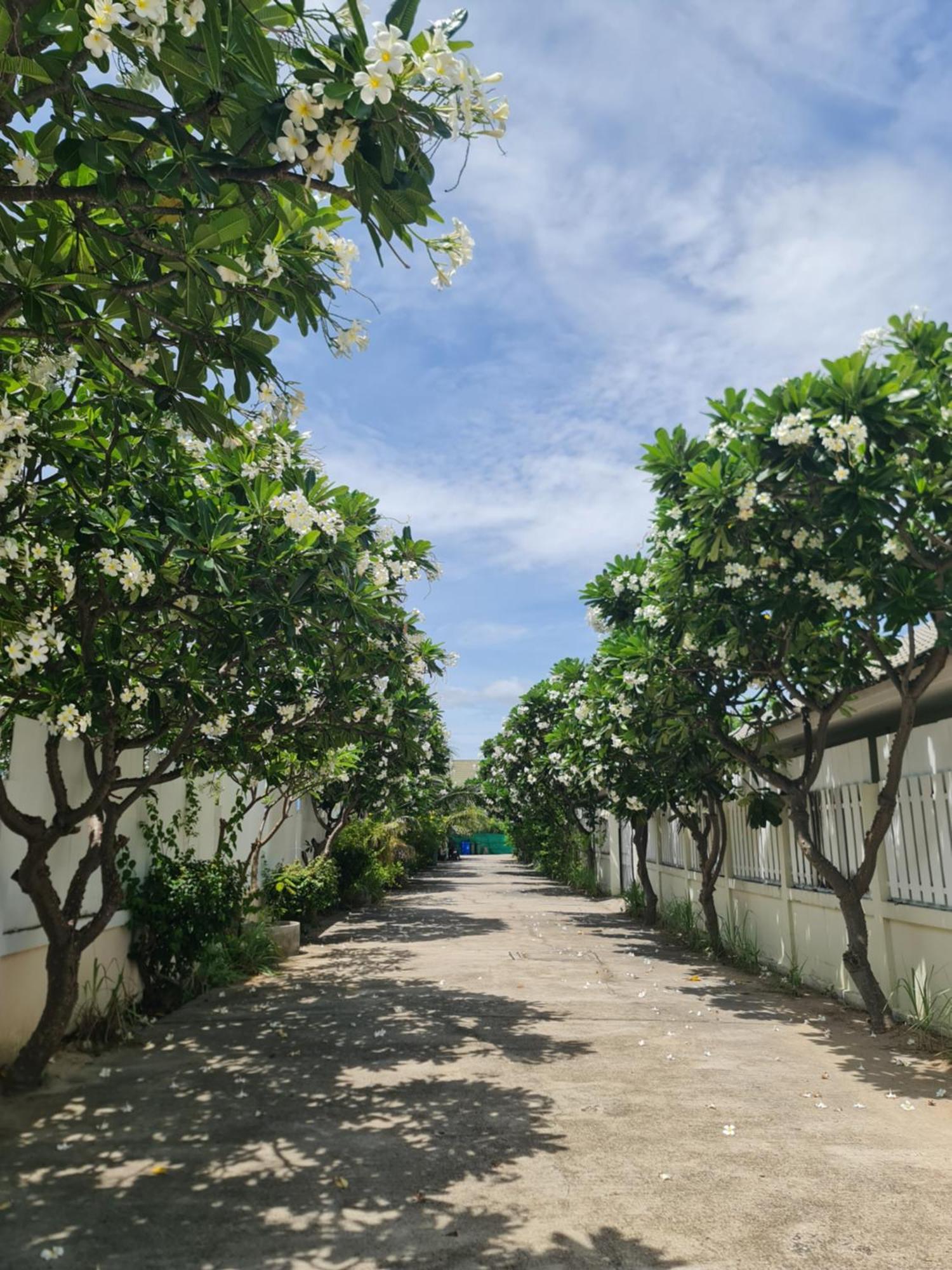 Baan Leelawadee Hotel Hua Hin Eksteriør billede